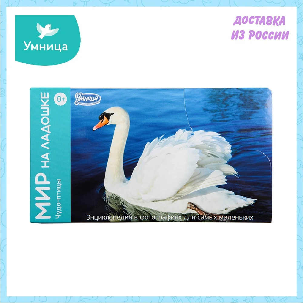 Мир на ладошке Умница ЧУДО-ПТИЦЫ | Игрушки и хобби