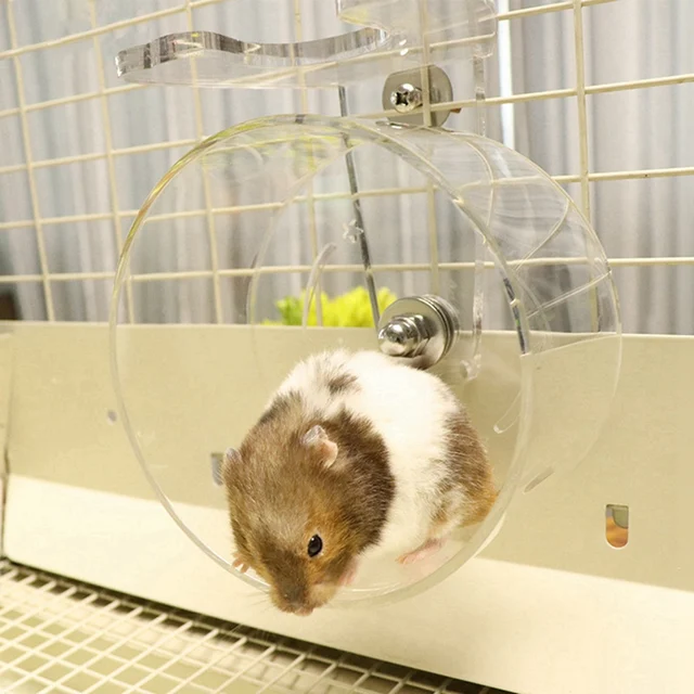 Clear Hamster Running Exercise Wheel Ball Pet Toy For Small Animal Hamster Rat Chinchilla Mice Jogging Training Toy