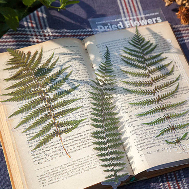 6pcs Flower Fern Plant Decorative Craft Stickers Vintage Junk Journal Stickers Scrapbooking DIY Diary Album Stickers Rose Label - Image 6