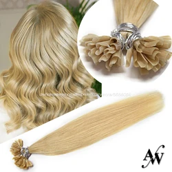 AW 12''-28'' Straight Keratin Pre-bonded U Tip Hair Extensions Machine Made Remy Capsule Fusion Nail Human Hair Balayage Color