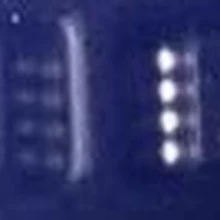 5 шт./лот 95256 556WP TSSOP8