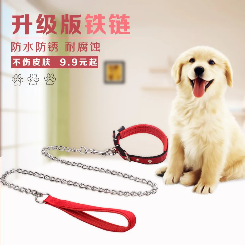 

Iron Chain Anti-Bite Dog Small Lanyard Neck Ring Set Suppository Dog Chain Teddy Traction Medium-sized Dog Dog Lanyard Sub Suppl