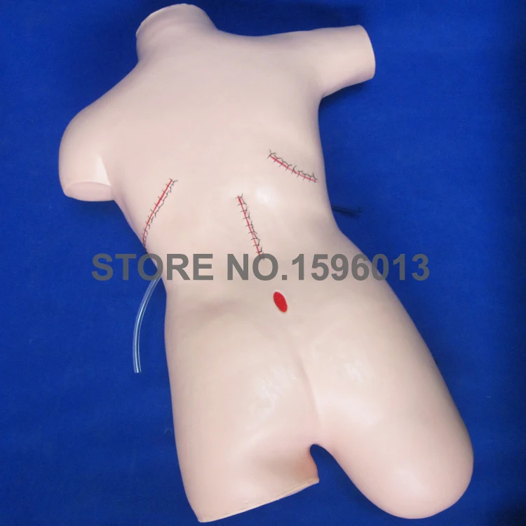 LV18 surgical manikin (5)