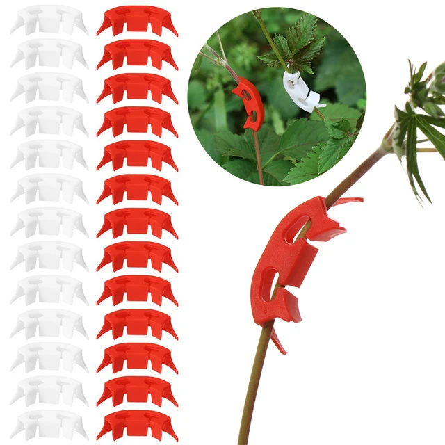 100Db 90 Fokos Növényi Ágak A Hajlító Újrahasznosítható Lst Klipek Alacsony Stressz Edzés Ellenőrzése Növekedés Elkerüli Növények Zsúfolását