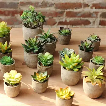 

6Pcs Creative Microscapes Pulp Basins Simulation Succulent Plants Pots for Restaurant Cafe Living Room