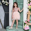 Feather Sequins Girls Dress Tiered Fluffy Tulle Party Kids Princess Dresses for Girls Baby Clothes 2-10Y E13846 ► Photo 2/6
