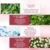 Лечение Акне Сыворотка Для Лица Centella Asiatica Oil Control Shrink Pores Scar Essence Отбеливающий Увлажняющий Крем Уход За Кожей MeiYanQiong