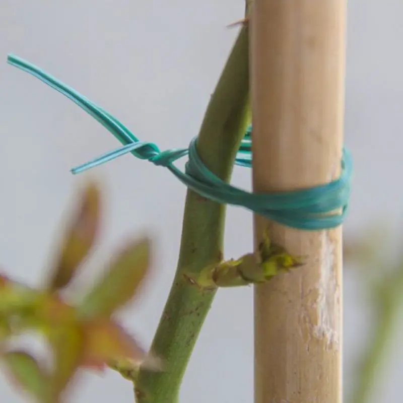 20/30/50/100M Plant Twist Tie With Cutter Garden Coated Training Twist Wire String Tie Plant Support Green Coated Wire Cable 20/30/50/100M Plant Twist Tie With Cutter Garden Coated Training Twist Wire String Tie Plant Support Green Coated Wire Cable