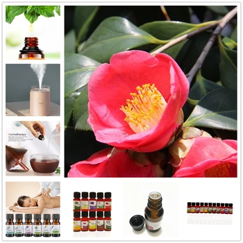 

Cymbidium Essential Oil for Diffuser Aromatherapy Oil Humidifier 6 Kind 10ML Fragrance Aromatherapy Oil Natural Spa Oil