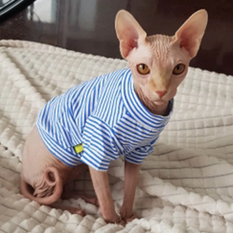 Mejor vendedor  Ropa a cuadros para gatos pequeños, disfraces de algodón, abrigo suave para gatitos, chaqueta para cachorros, Otoño e Invierno y5KEqllkD