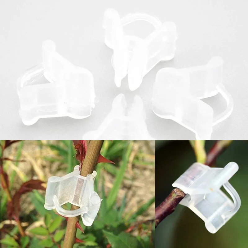 Grafting Clips Transparent Plastic Garden Tool Vegetable Flower Vine Bush LP 
