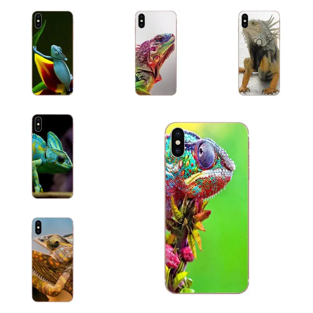 Прозрачный мягкий чехол для Xiaomi Redmi 3 3S 4 4A 4X 5 6 6A 7 K20 Note 2 5A Plus Pro Animal Iguana Chameleon Lizard |