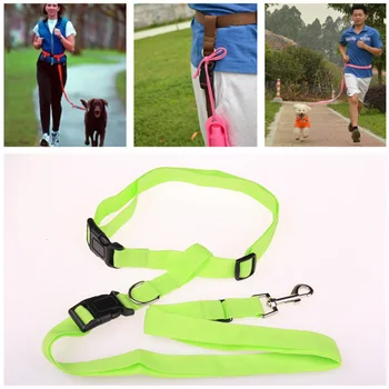 

Newest Pet Dog Leash Traction Rope Running Belt Reflective Elastic Hands Freely Jogging