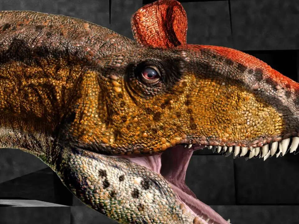 QQ截图20200105180854