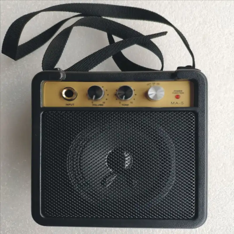 speaker with guitar input