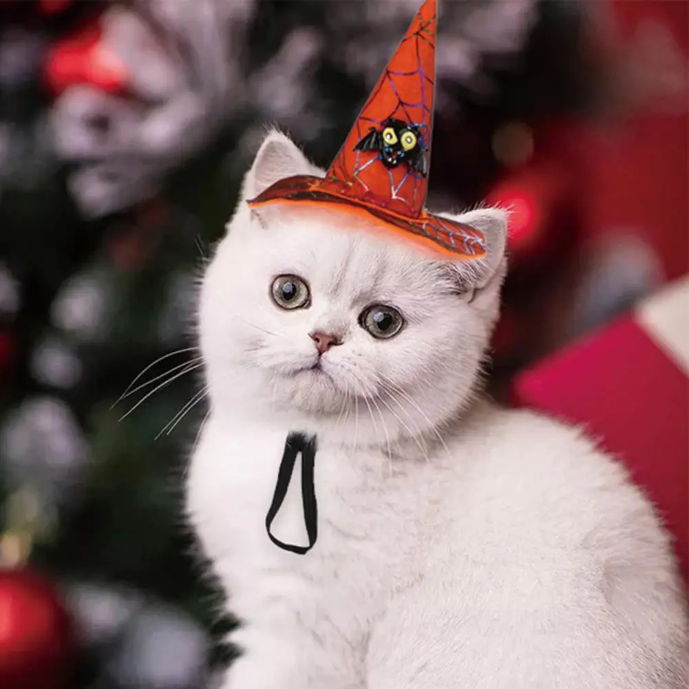 Хэллоуин для домашней собаки кошки летучая мышь сова тыква принт шапка забавный