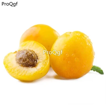 

Ngryise 50Pcs A Set Armeniaca vulgaris