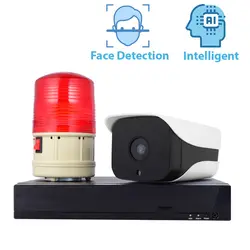 AI камера безопасности розничная система охранной сигнализации со звуком и светильник 1080P распознавание лица Обнаружение сравнения анти