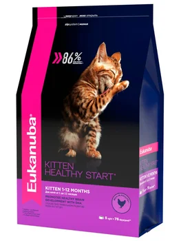 

EUKANUBA EUKANUBA KITTEN HEALTHY START for kittens with a bird