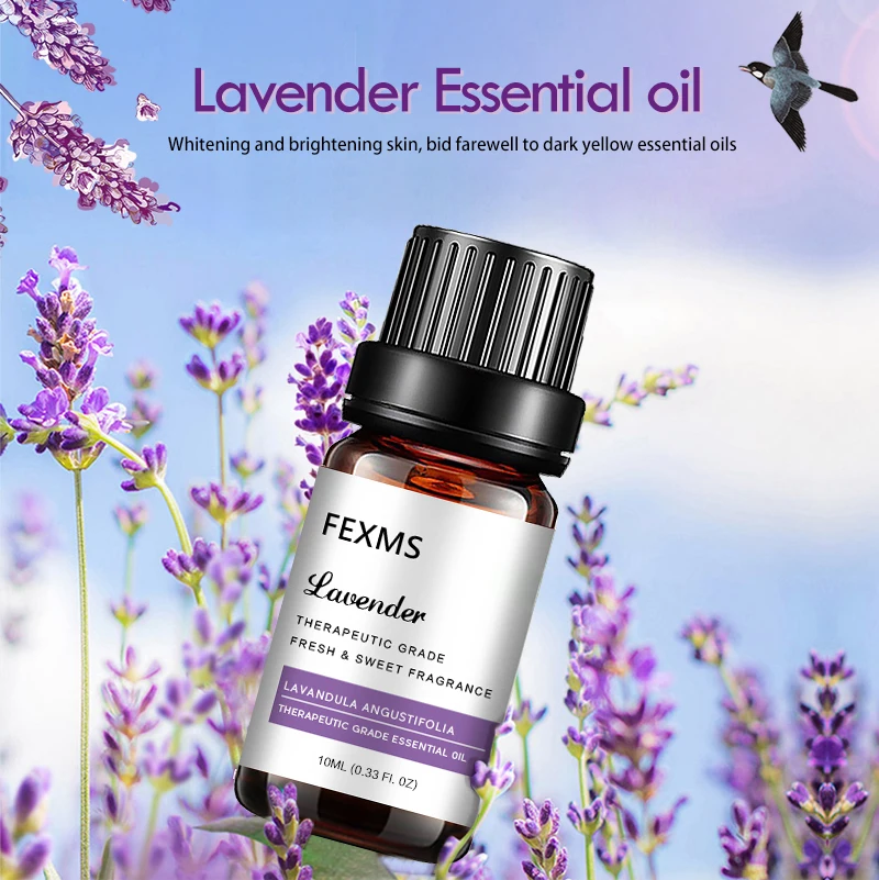 100% Pure Lavender Essential Oil  - Premium Grade Lavender Oil for Aromatherapy, Relaxation, Skin Care and Hair Growth 10ml lemongrass essential oil 100% pure therapeutic grade premium undiluted lemon grass oil for diffuser aromatherapy