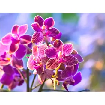 

2020 New Arrival Diamond Mosaic DIY Round Drill 5D Cross Stitch Pink Flowers Embroidery Home Wall Decor Handmade Gifts Kits Art