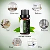 Tea Tree Essential Oil Steamer Wholesale Aromatherapy 100% Pure Natural Skin Care Therapeutic Grade Steam Sauna SPA Dedicated 6