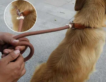 

P Chain Dog Leash Slip Collar pet Walking Leads Nylon Dog Mountain Climbing Rope puppy pet Traction For small Medium Large Dogs