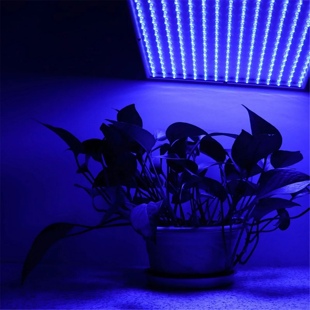 

225 LED Grow Light Full Spectrum 14W LED Panel Grow Lamp for Greenhouse Horticulture Indoor Plant Flowering Growth