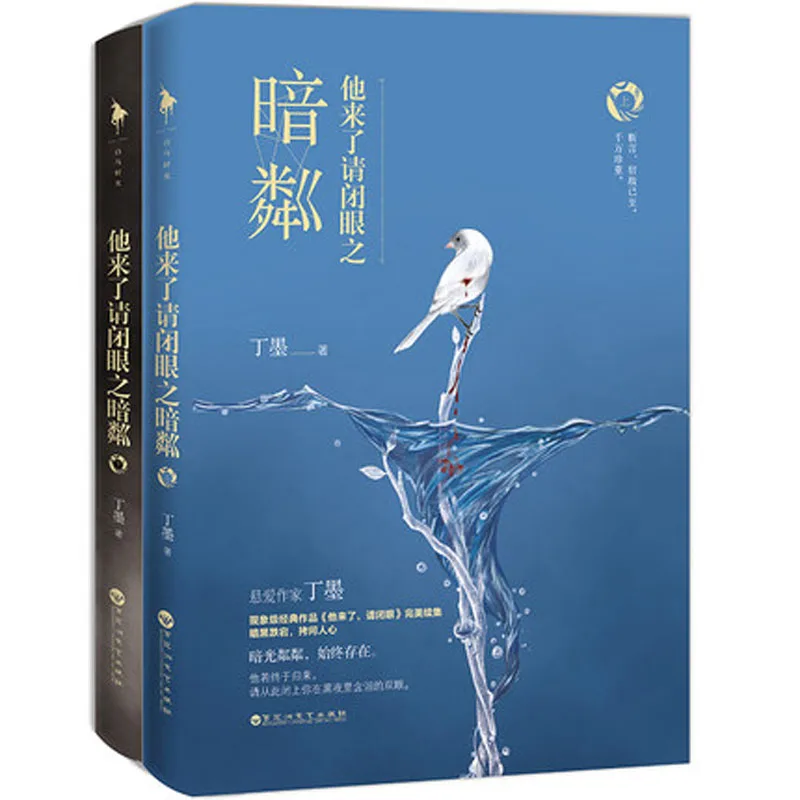 

2 Pcs Ta Lai Le Qing Bi Yan By an Lin By Ding Mo youth literature Suspense detective novel Book