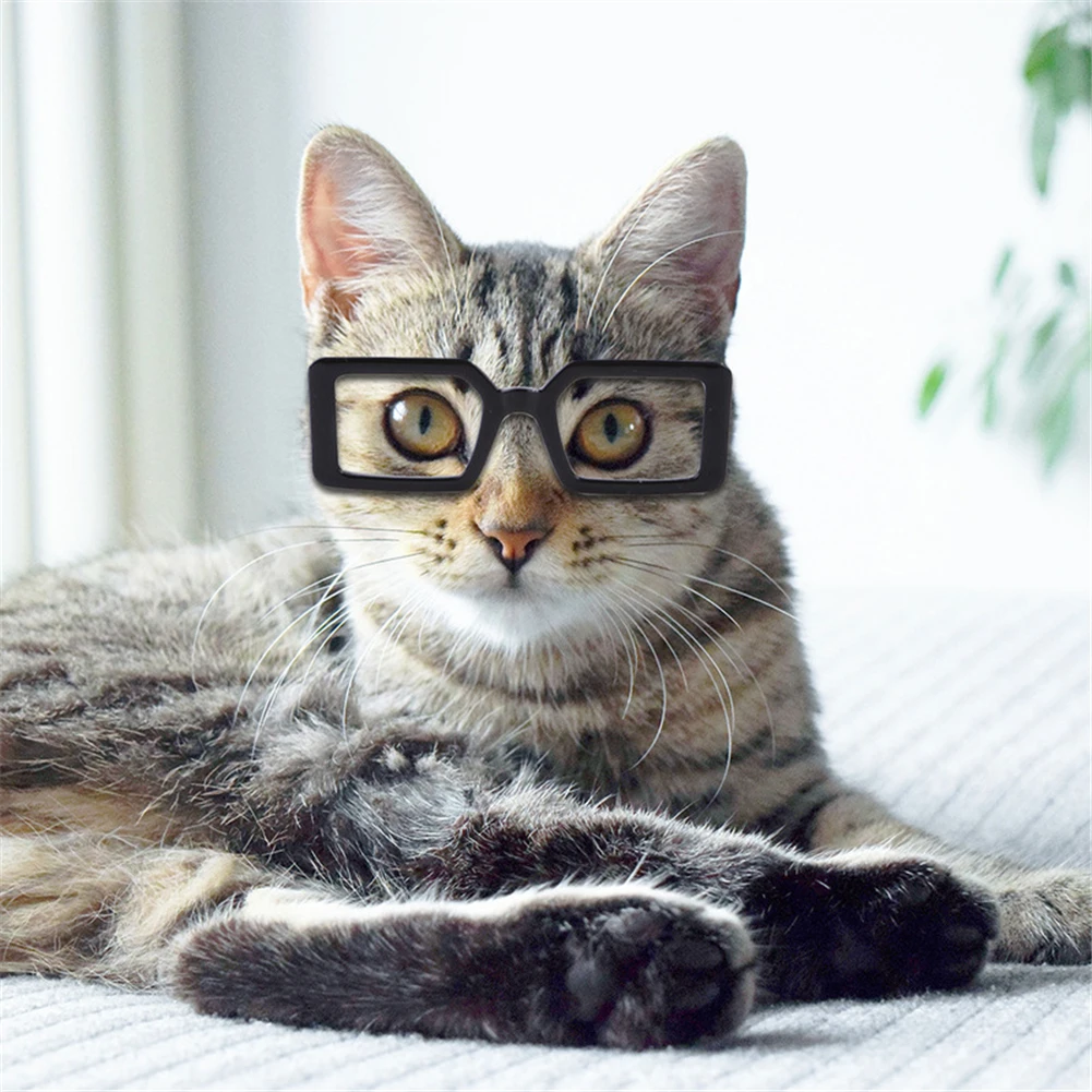 

Square Pet Eye Wear Lovely Vintage Cat Puppy Sunglasses Pets Kitten Photos Props Decorations Lenses Reflection Glasses For Dog