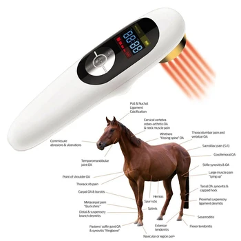 

Hot Selling Pets Dog Cat Vet Clinic Therapy Laser Light Treatment for Pain Relief Wound Healing