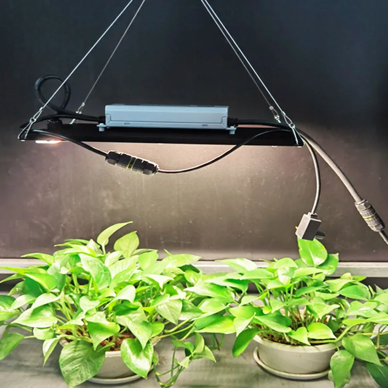 meanwell driver led grow light lamp