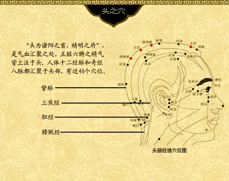 头部穴位图