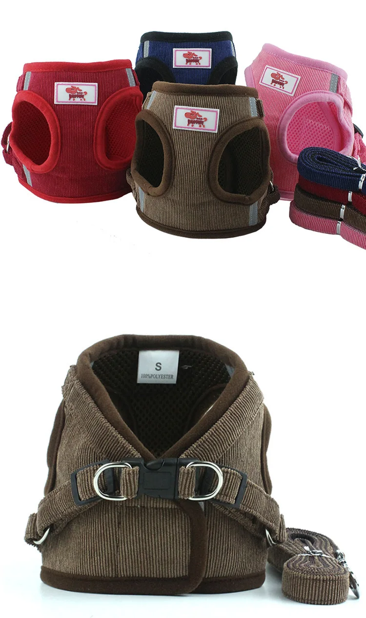 11113476315_609020808