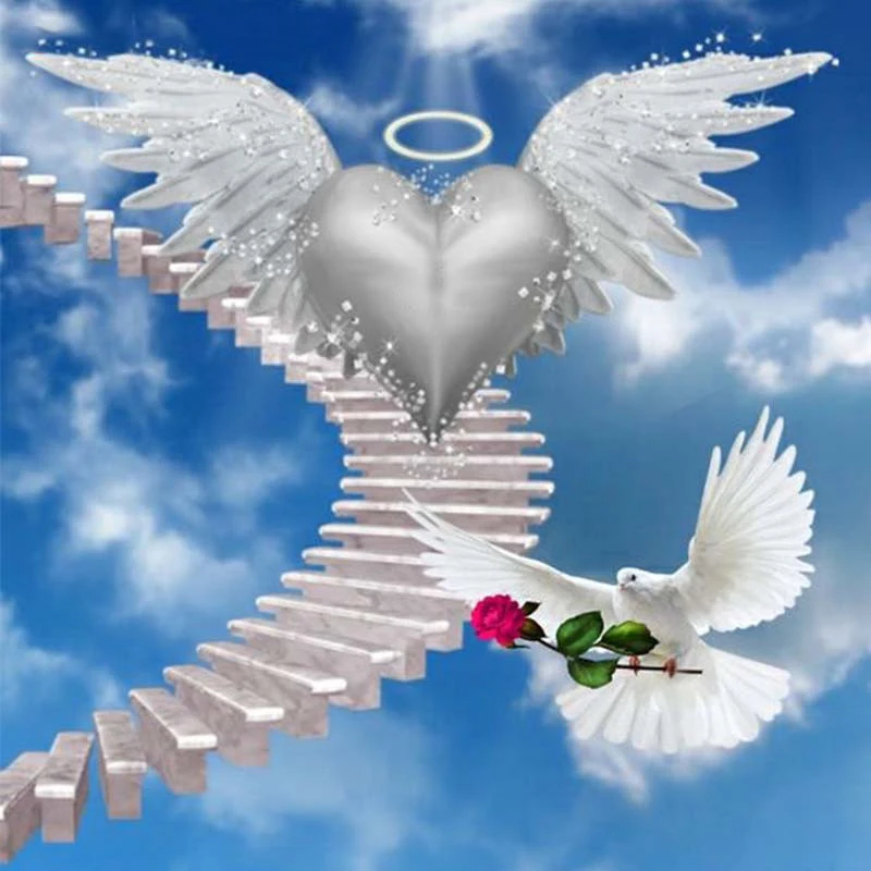 

5D DIY Diamond Painting Full Square/Round "White pigeon"Diamond Embroidery Rhinestones Pictures Diamond Mosaic Home Decor