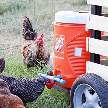

5PCS/Set Automatic Quail Drinker Chicken Waterer Bowl With Yellow Nipple Farm poultry drinking water system