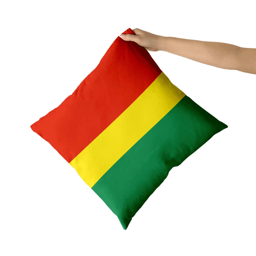 

Bolivia throw pillow Decorative Pillow Cushion Covers Pillowcase Cushions for Sofa for room canvas Pillowcover home decor