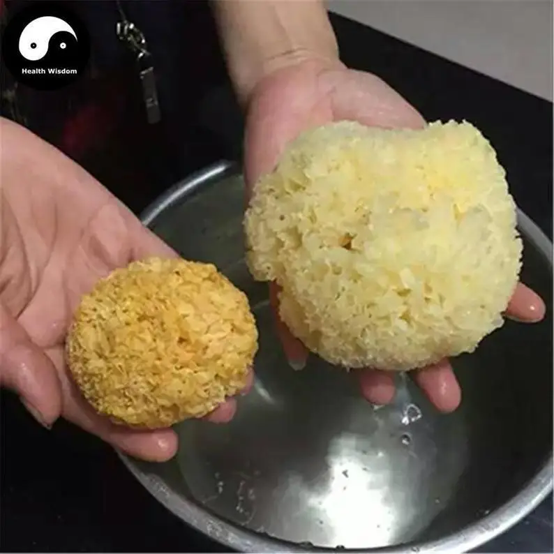 

White Fungus, Tremella Fuciformis, Mushroom