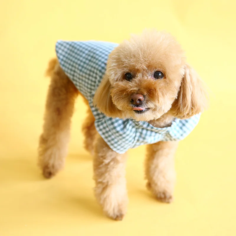 蝴蝶结格子娃娃衫15