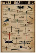 

Personalized Tin Sign Types of Dragonflies Knowledge Tin Sign, Wall Art Retro Tin Sign Metal Poster for Home Bar Cafe Garage