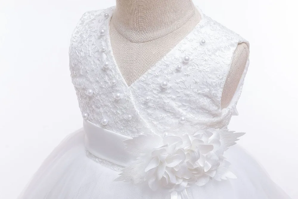 Baby Girls Dresses Applique Bead Princess Dress Toddler Girl Trailing Wedding Party Dress Birthday Ball Gown Vestidos Kids Dress (5)