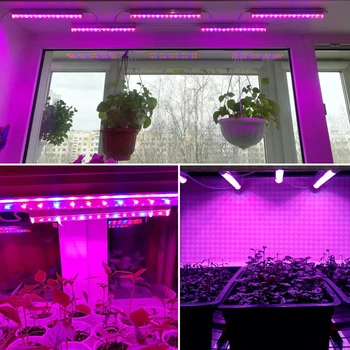 

5 X LED Grow Light Full Spectrum T5 Tube For Indoor Plant Growth EU Plug Indoor Growing Light Full Spectrum Grow Light