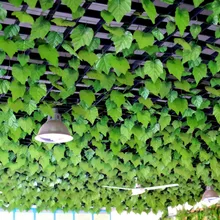 1 шт. украшения для магазина декоративные лозы и ветряные блесны садовые украшения Декор для внутреннего и наружного декора