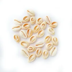 Natural Shell Beads Small Conch Charm Bottom Cut Seashells Without Holes Beads For Jewelry Making DIY Handmade Bracelet Necklace