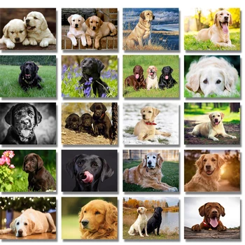 

5d Diy Diamond Painting Labrador Pet Picture Cross Stitch Needlework Embroidery Dog Full Round Drill Rhinestone Decor Crafts