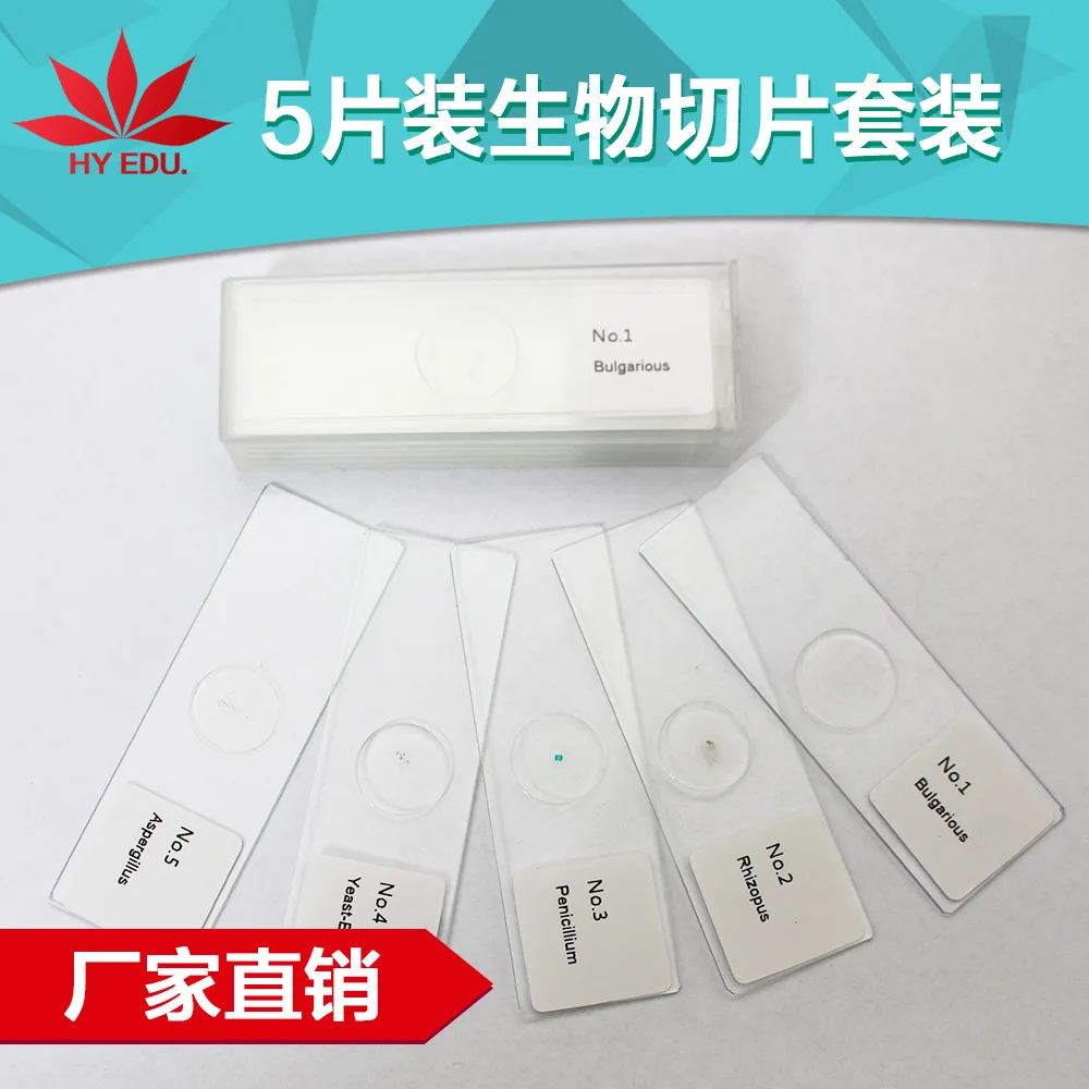 

Microscope Supporting Slice Set 10 PCs 25 PCs 50 PCs 91 PCs 100 Pieces 200 PCs a Large Amount for Sale