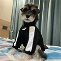 Amebrond PetGift Store