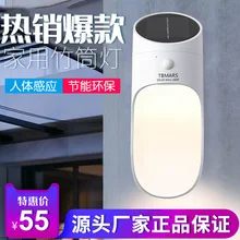 Поли Xylose освещение стиль солнечная лампа настенная лампа человеческого тела инфракрасное зондирование наружная лампа для освещения местности садовая лампа настраиваемая