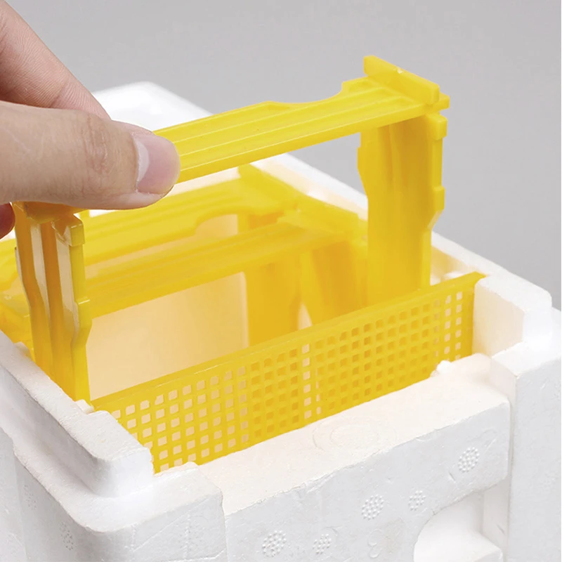 EPS Mini Mating Box Nucleus Hive Queen Bee Rearing Hive Bee King Breeding Tools Apiculture Beekeeping Equipment Benefitbee beekeeping tools bee breeding box