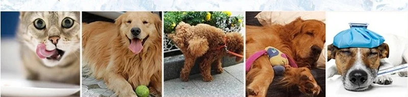 阿里旺旺图片20200423172828